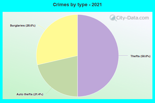 Crimes by type - 2021