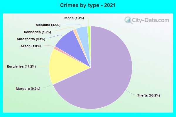 Crimes by type - 2021