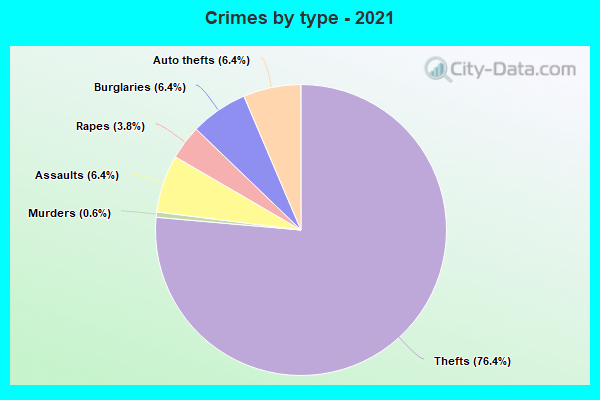 Crimes by type - 2021