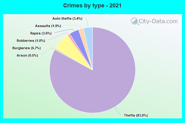 Crimes by type - 2021