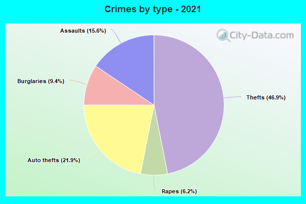 Crimes by type - 2021