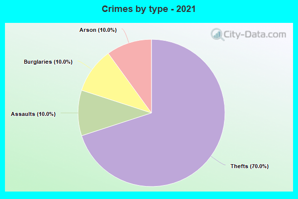 Crimes by type - 2021