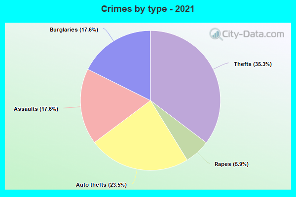 Crimes by type - 2021