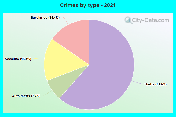 Crimes by type - 2021