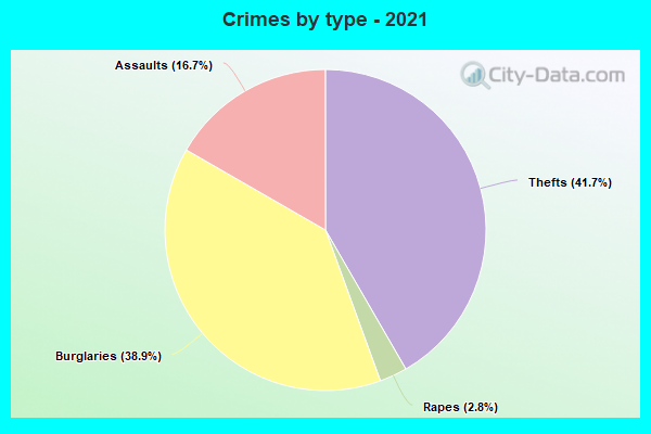 Crimes by type - 2021