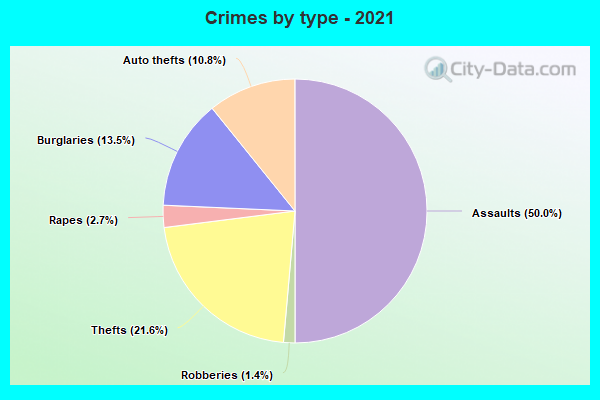 Crimes by type - 2021