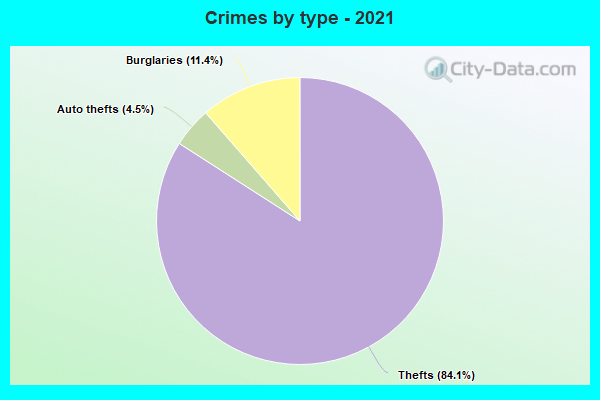 Crimes by type - 2021