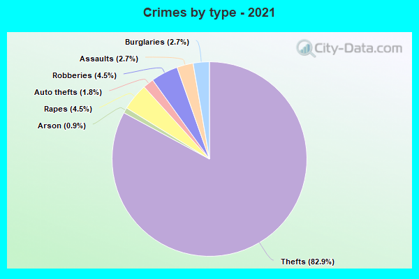 Crimes by type - 2021