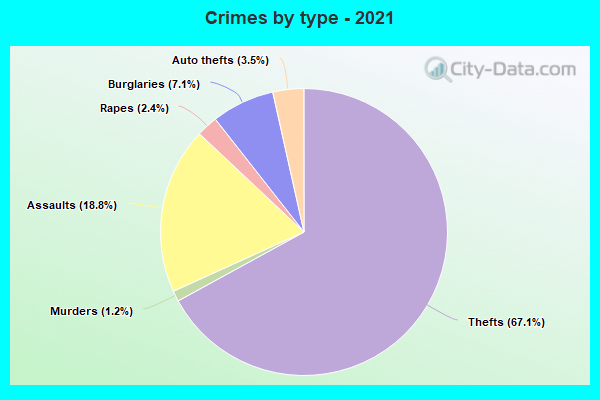 Crimes by type - 2021