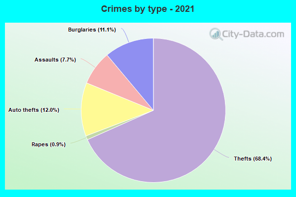 Crimes by type - 2021