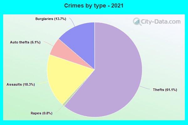 Crimes by type - 2021