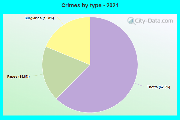 Crimes by type - 2021