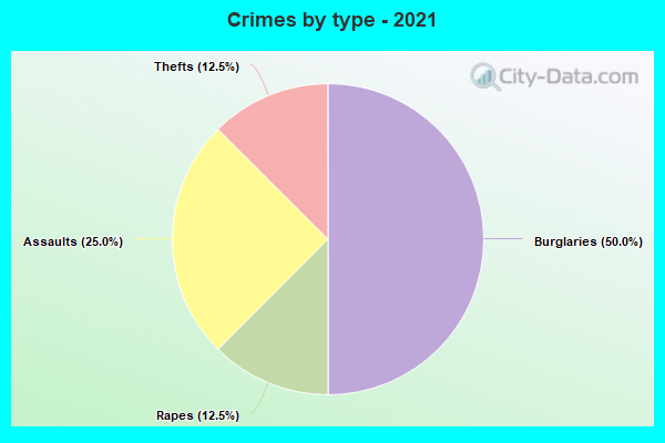 Crimes by type - 2021