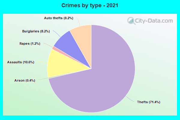 Crimes by type - 2021