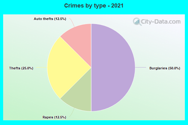 Crimes by type - 2021