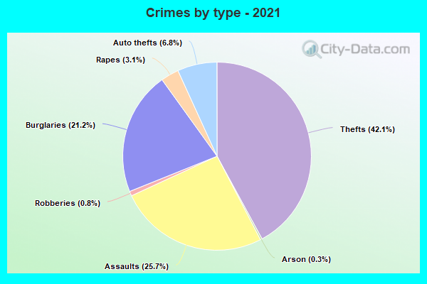 Crimes by type - 2021