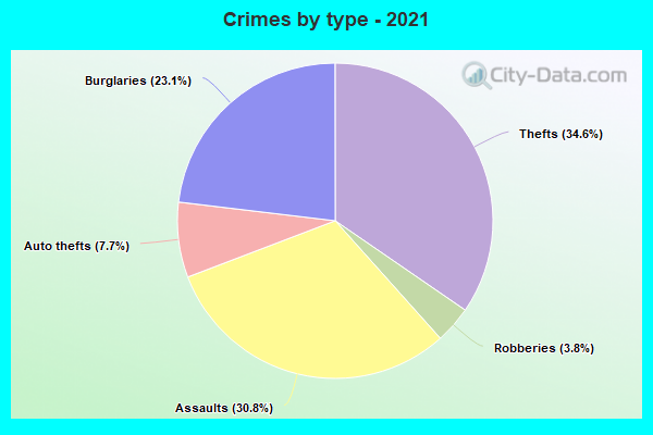 Crimes by type - 2021