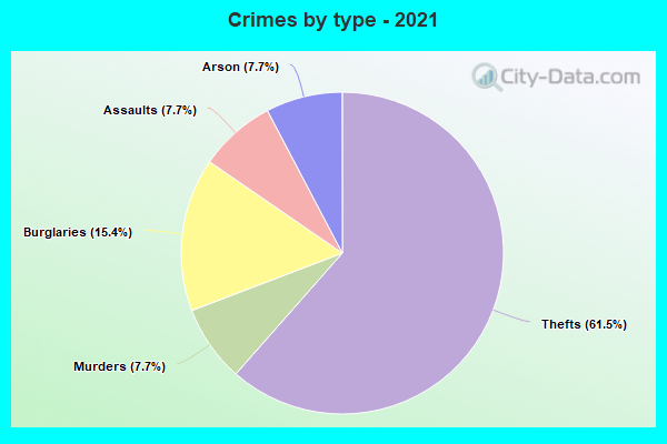 Crimes by type - 2021