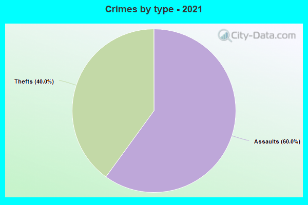 Crimes by type - 2021