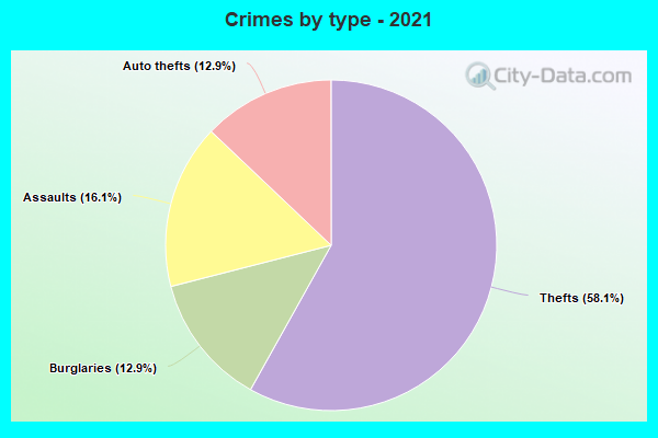 Crimes by type - 2021