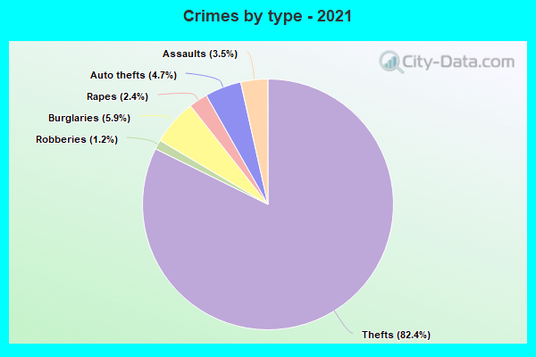 Crimes by type - 2021