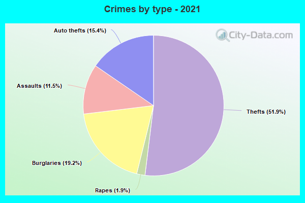 Crimes by type - 2021