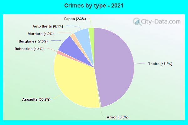 Crimes by type - 2021