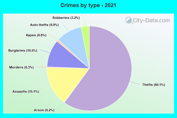 Crimes by type - 2021