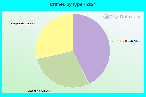 Crimes by type - 2021