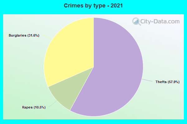 Crimes by type - 2021