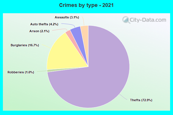 Crimes by type - 2021