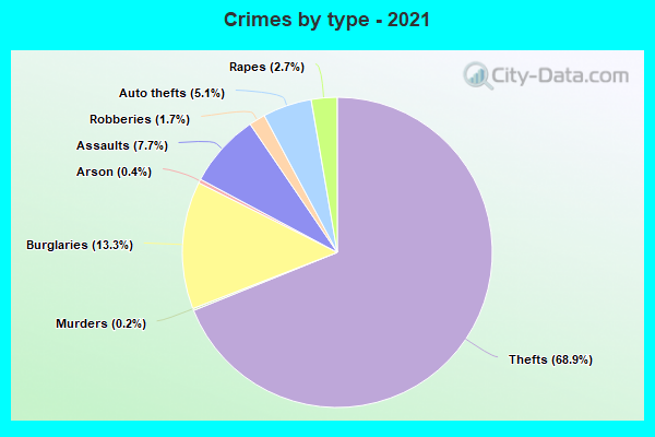 Crimes by type - 2021