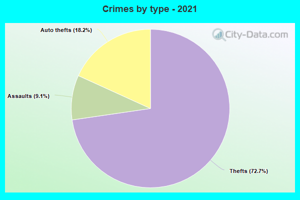 Crimes by type - 2021