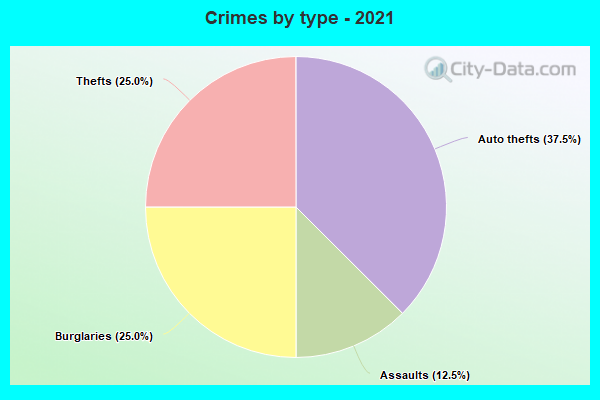 Crimes by type - 2021