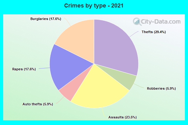 Crimes by type - 2021