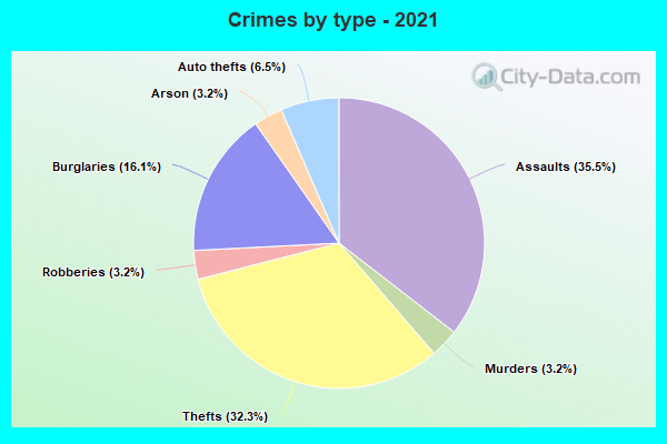 Crimes by type - 2021