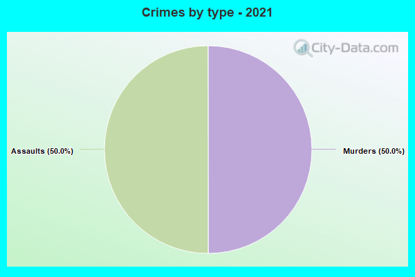 Crimes by type - 2021