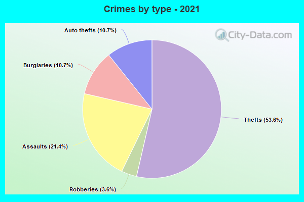 Crimes by type - 2021