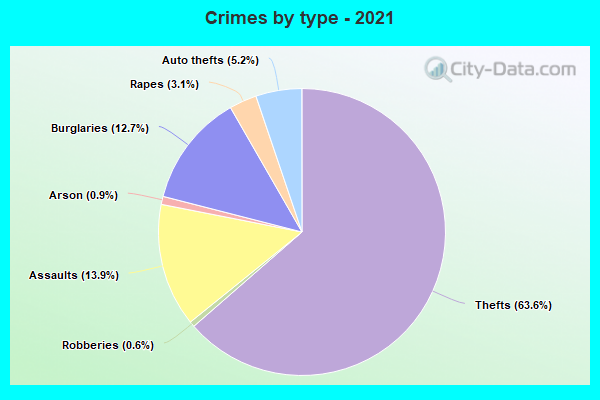 Crimes by type - 2021