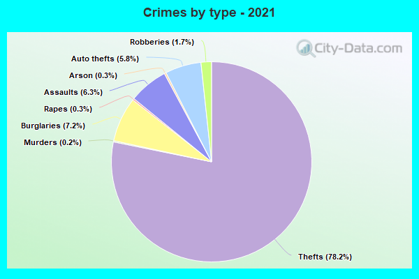 Crimes by type - 2021