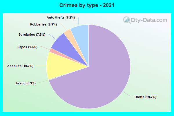 Crimes by type - 2021