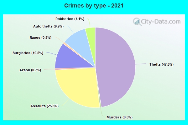 Crimes by type - 2021