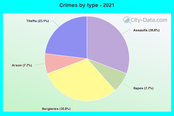 Crimes by type - 2021