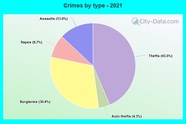 Crimes by type - 2021