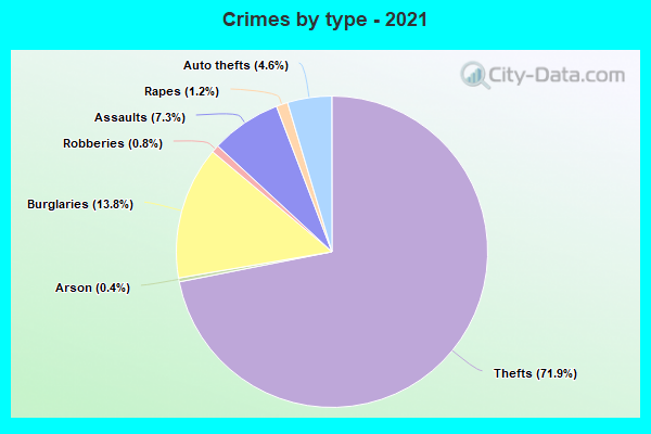 Crimes by type - 2021