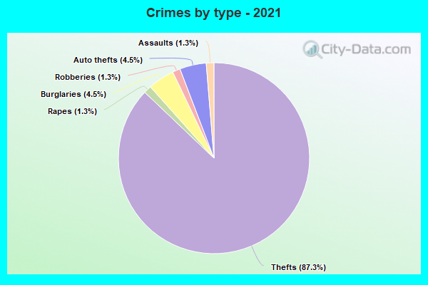 Crimes by type - 2021