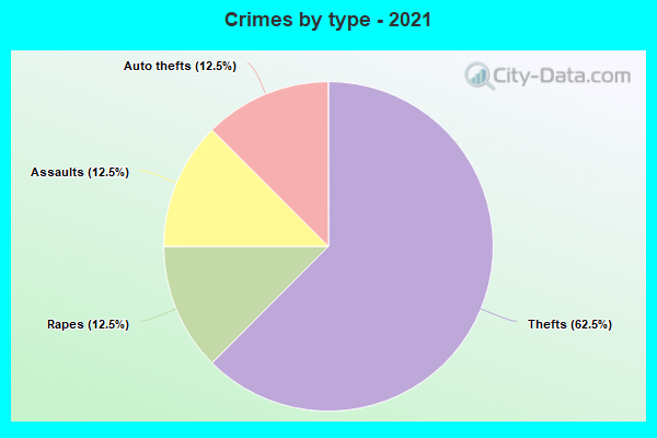 Crimes by type - 2021