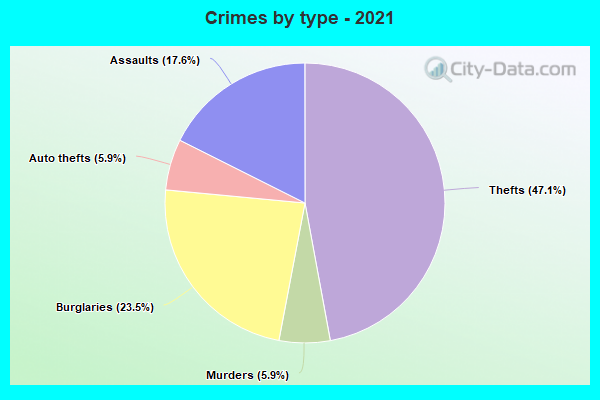 Crimes by type - 2021