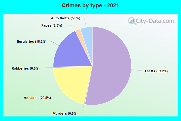 Crimes by type - 2021