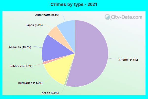 Crimes by type - 2021